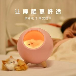Cute Little Cat Pet House Night Light